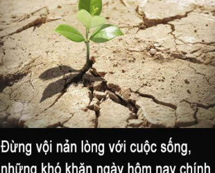 11 câu nói hay bạn nên đọc ít nhất một lần