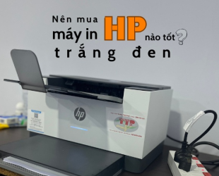 Nên mua loại máy in HP trắng đen nào tốt?