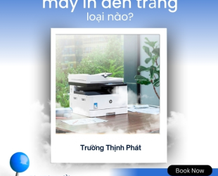 Nên mua máy in đen trắng loại nào? Top 5 sản phẩm bán chạy
