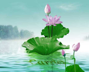 Nghệ Thuật Sống