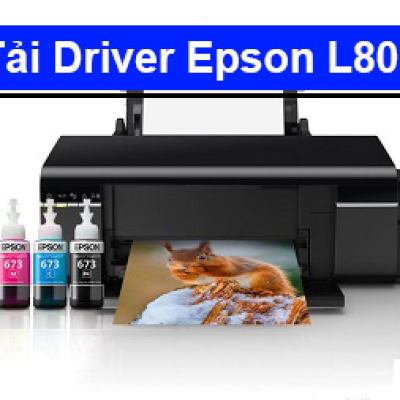 Tải Driver máy in Epson L805 chi tiết