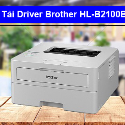 Tải Driver máy in Brother HL-B2100D chi tiết