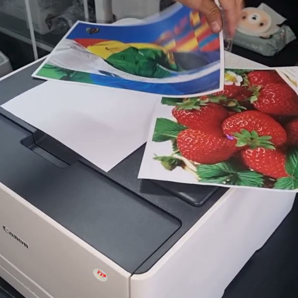 Hộp mực Canon 331 TTP