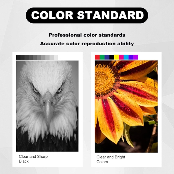 Hộp mực HP 416A TTP