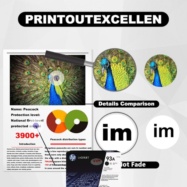 Hộp mực HP 93A TTP