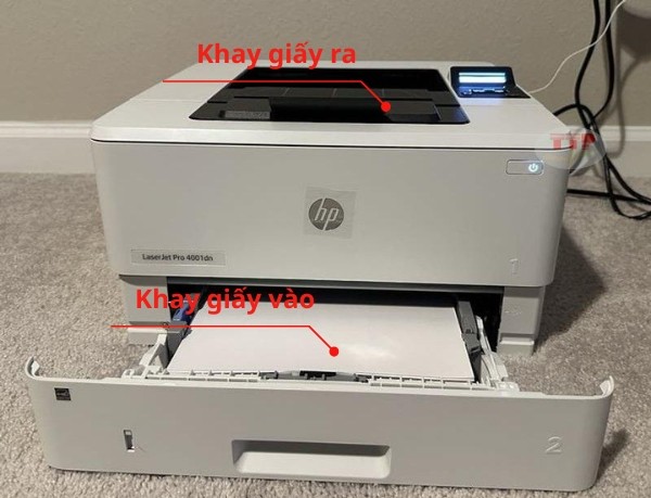 Máy in HP LaserJet Pro 4004dn 2Z614A