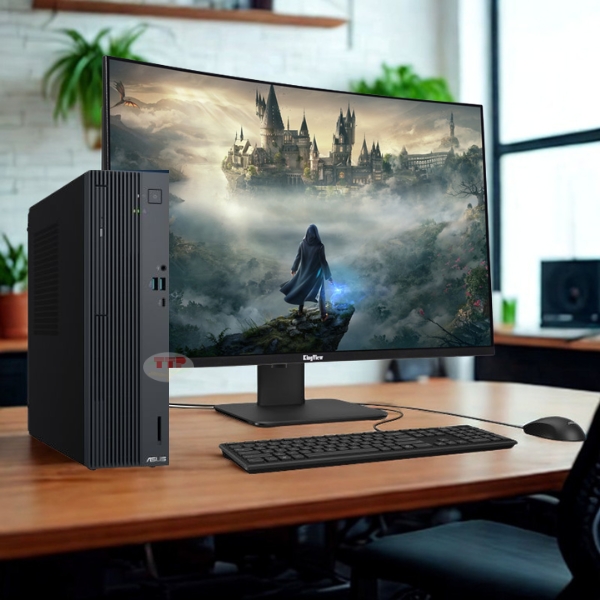 Máy tính bộ Asus P500SV-05210H002W Core 5 210H