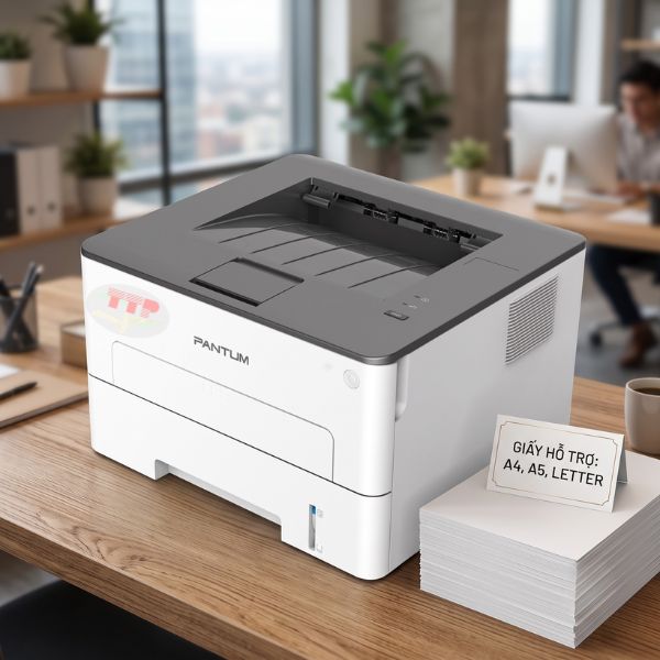 Máy in laser Pantum P3022D