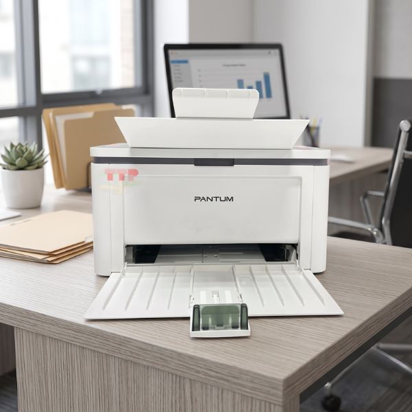 Máy in laser Pantum P3022D