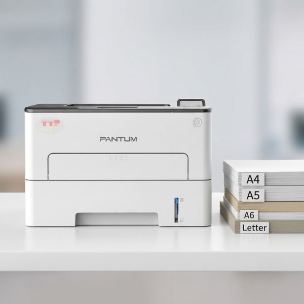 Máy in laser Pantum P3308DW