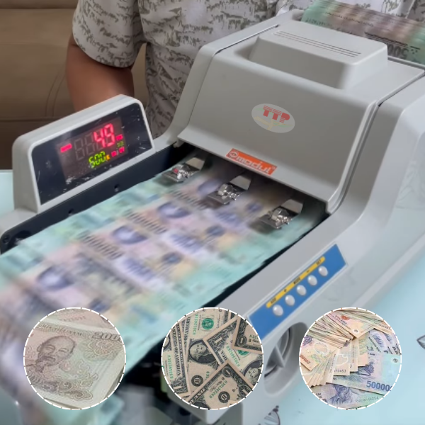 Máy đếm tiền Modul 5688