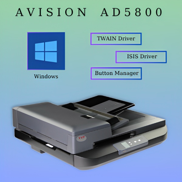 Máy Scan Avision AD5800