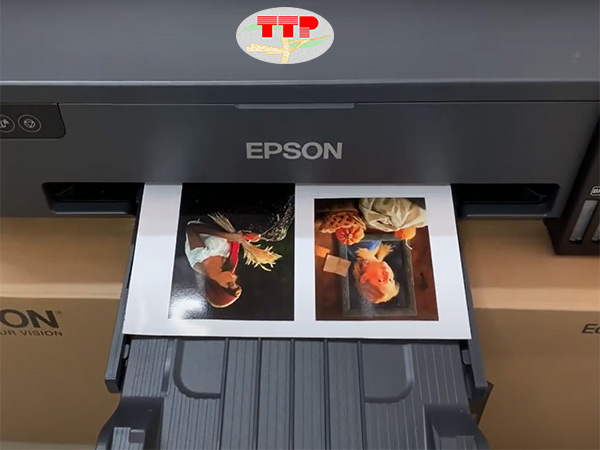Máy in Epson L8050