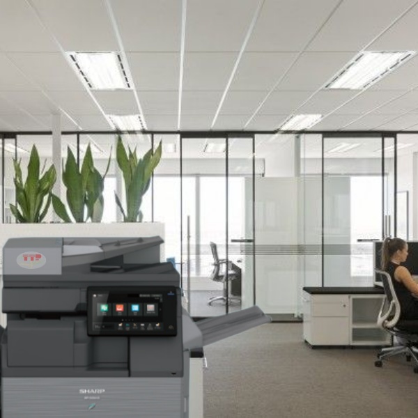 Máy Photocopy Sharp BP-50M55