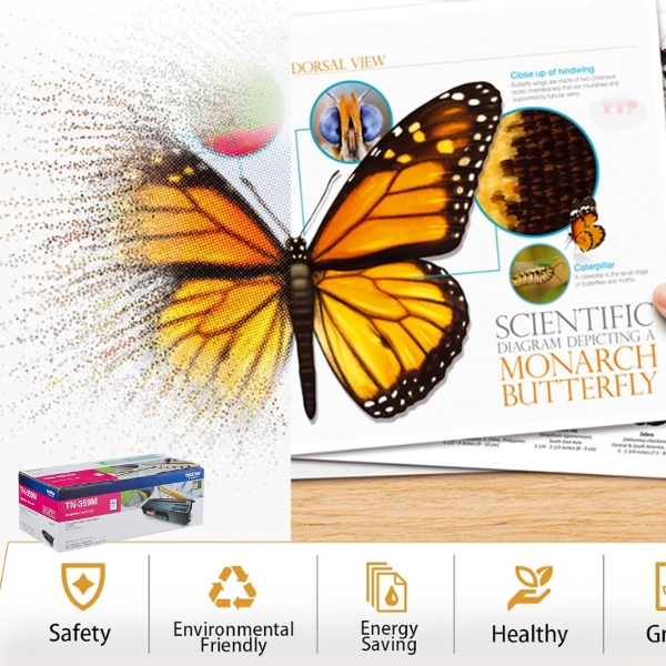 Hộp mực Brother TN-359 BK, C, M, Y TTP