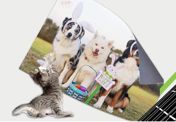 Hộp mực Canon CL-98 TTP