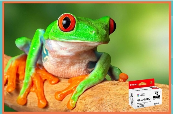 Hộp mực Canon PFI-50 TTP