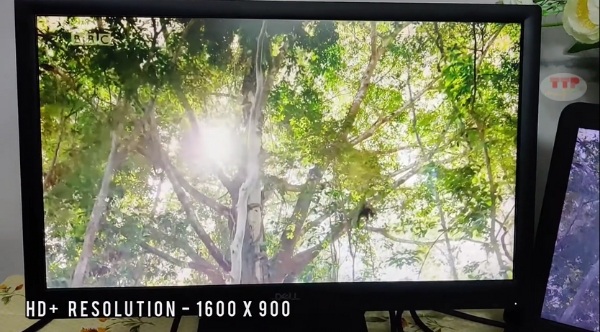 Màn hình Dell D2020H TTP