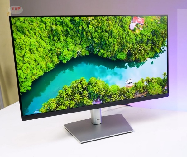 Màn hình Dell P2423D TTP