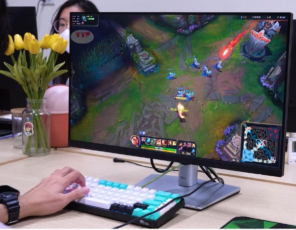 Màn hình Dell P2423D TTP