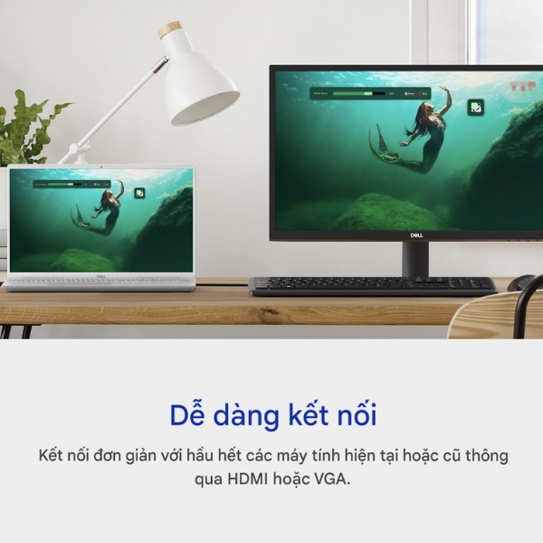 Màn hình Dell SE2425H TTP