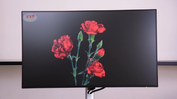 Màn hình Dell U2424H TTP