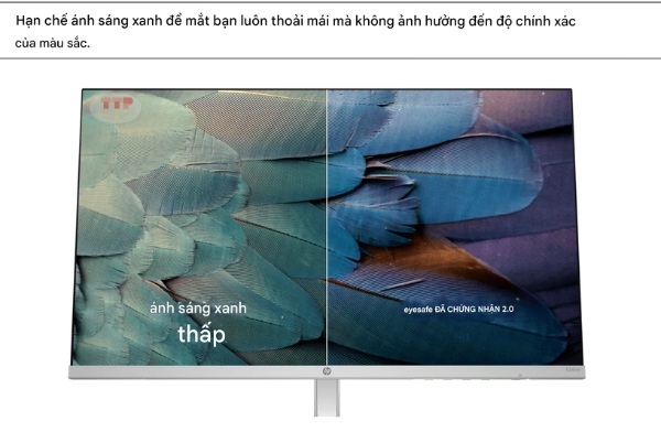 Màn hình HP S5 524SW TTP