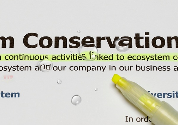 Máy in Canon MAXIFY GX6070 TTP