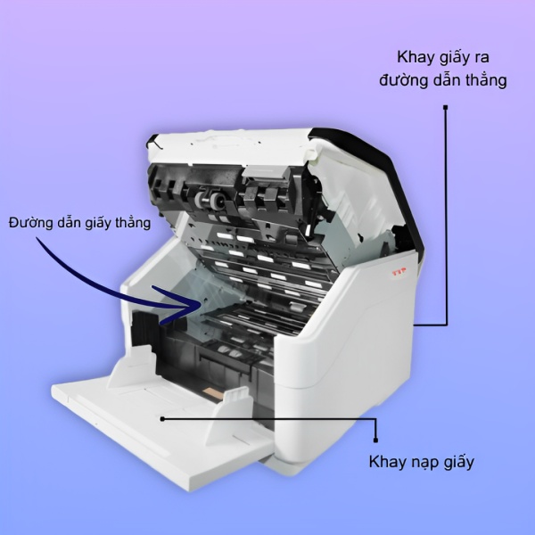 Máy Scan Avision AD8150