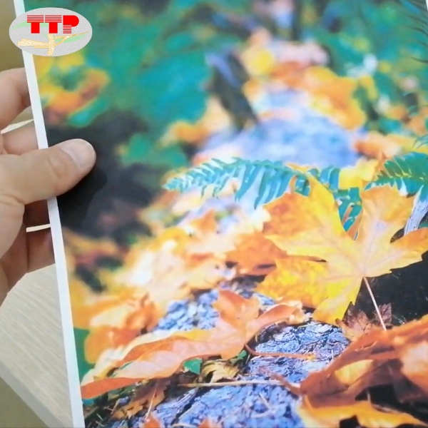 Hộp mực Canon 318 Bk C M Y