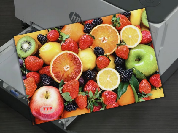 máy in giá từ 5 đến 10 triệu