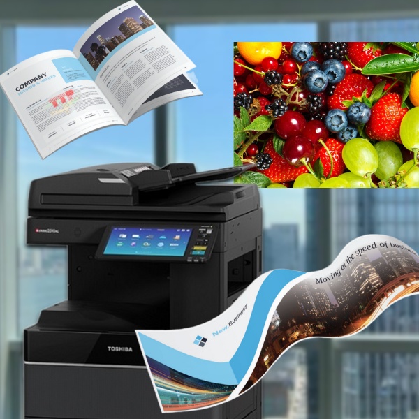 Máy photocopy Toshiba e-Studio 3515AC