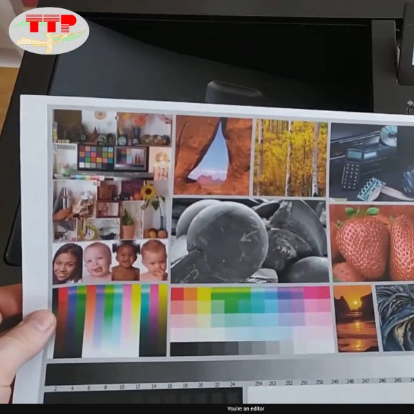 Hộp mực Canon 040 Bk C M Y