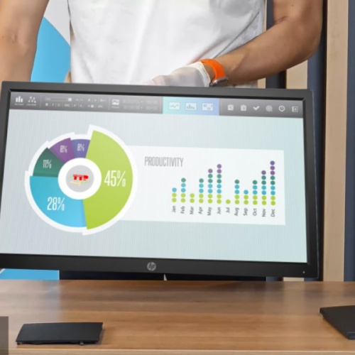 Màn hình HP P204v 5RD66AA