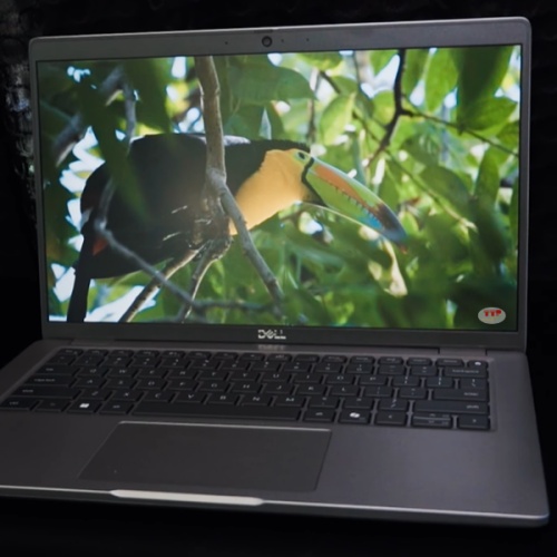 Laptop Dell Latitude 5450 BTX Base 42LT545001