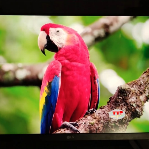 Màn hình LG 24MR400-B 23.8 inch