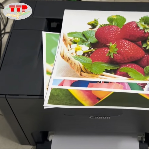 Drum Canon Cartridge 029