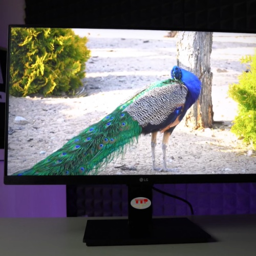 Màn hình LG 24QP550-B 23.8 inch