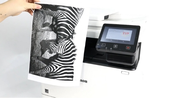 Hộp mực Canon 067H BK, C, M, Y TTP