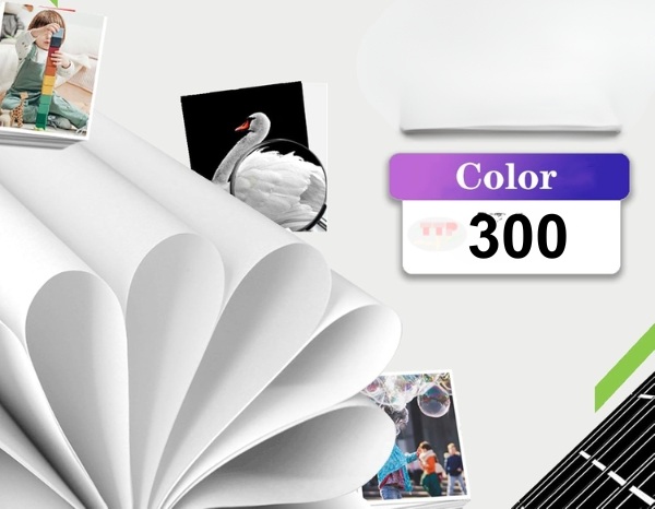 Hộp mực Canon CL-99 TTP