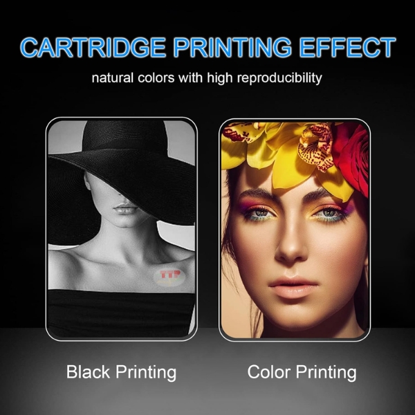 Hộp mực Canon CLI-751 TTP