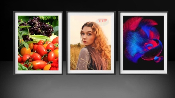 Hộp mực Canon CLI-751 TTP