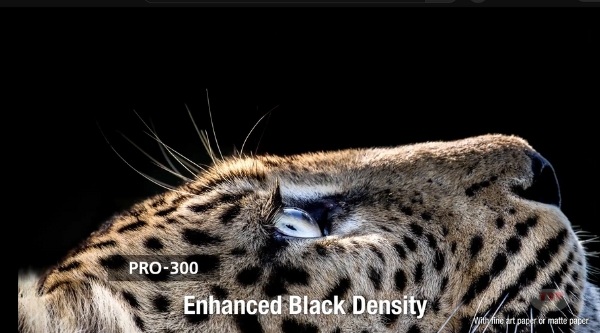 Hộp mực Canon PFI-300 TTP