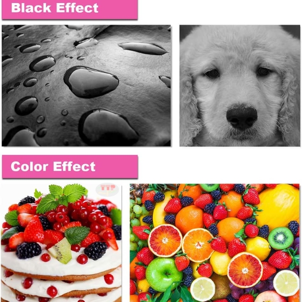 Hộp mực Canon PG-745 TTP