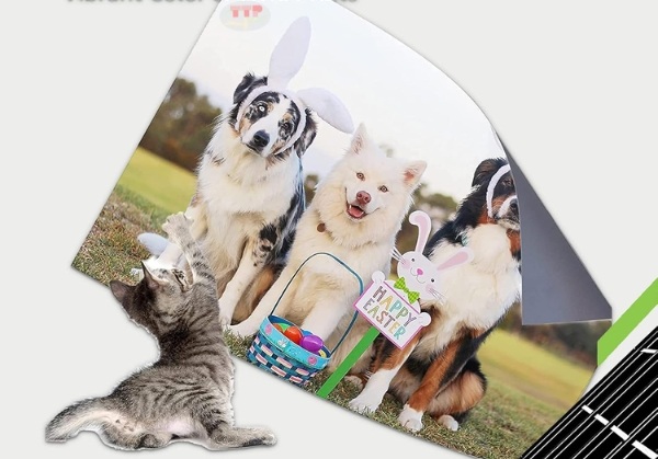 Hộp mực Canon PG-745 TTP