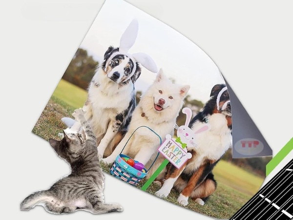 Hộp mực Canon PG-88 TTP