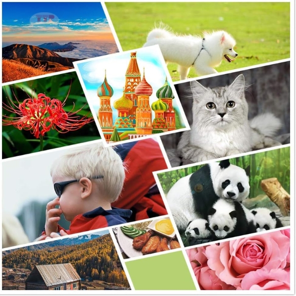 Hộp mực Canon PG-88 TTP