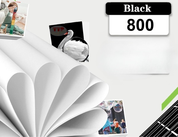 Hộp mực Canon PG-88 TTP