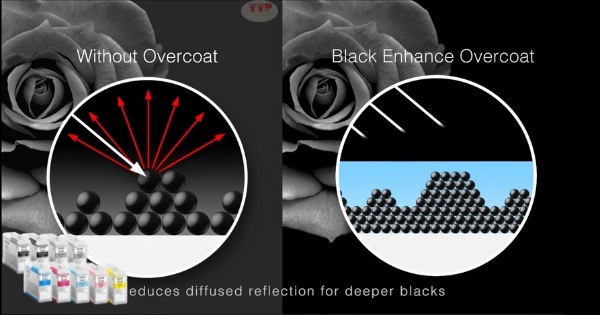 Hộp mực Epson T47E TTP