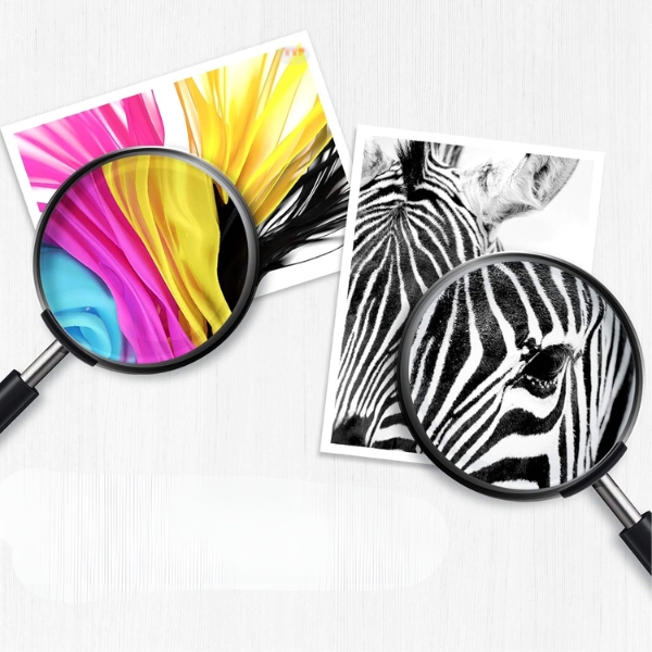 Hộp mực HP GT51XL TTP